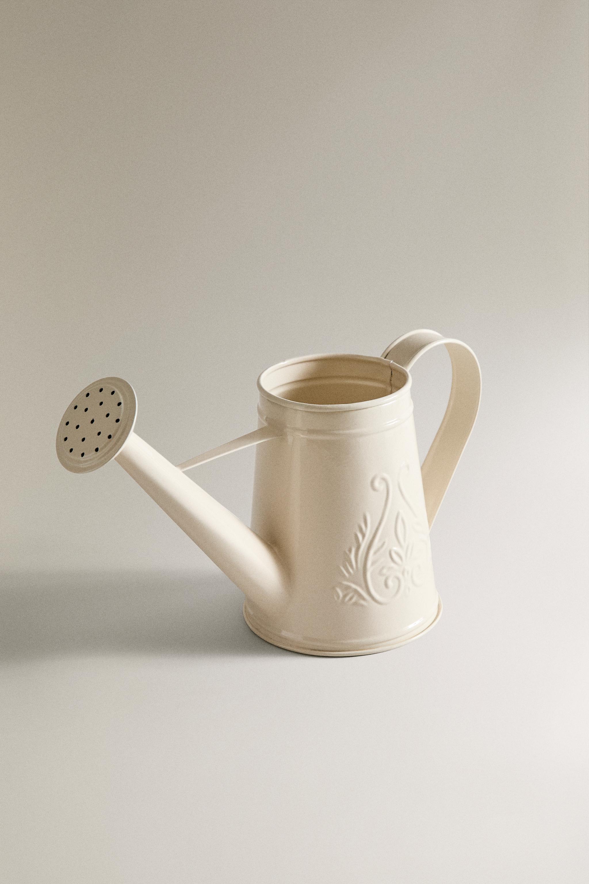 ARROSOIR DE JARDIN EN ACIER